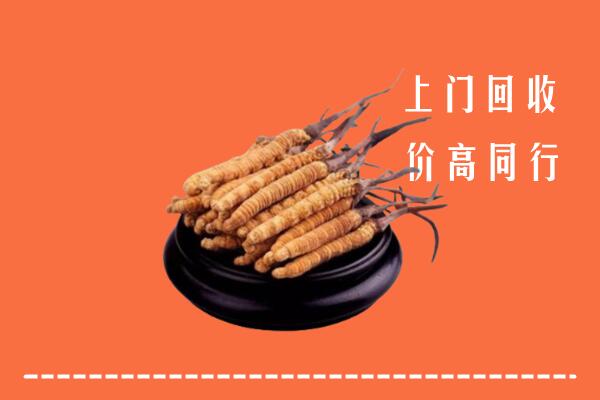 高价求购：文山回收散虫草
