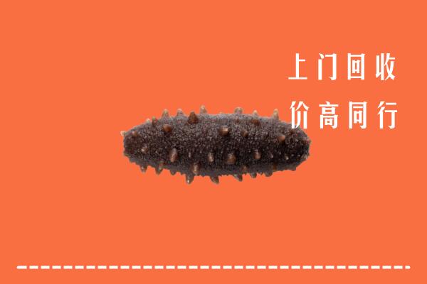 高价求购：文山回收海参