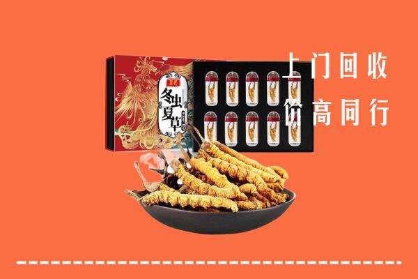 文山回收虫草